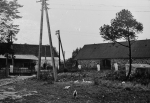 Zawartość – Content: Sosna Banksa. W tle zabudowa folwarczna. Fotografia, 1977 r.;  Właśność intelektualna – Intellectual Property: H. Ciesielski, M. Kujawa, H. Wrabec, K. Eysymontt, H. Idzikowska; Prawa majątkowe: Lubuski Wojewódzki Konserwator Zabytków; Dookreślenie – Istantiation: Materiał zawarty w: H. Ciesielski, M. Kujawa, H. Wrabec, K. Eysymontt, H. Idzikowska, Stypułów Dolny. Ewidencja parku, Wrocław 1978, maszynopis.