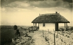 Zawartość – Content: Winnica i herbaciarnia rodziny von Reuss w Podlegórzu, fotografia, autor nieznany, ok. 1931 r.;Własność Intelektualna – Intellectual Property: brak danych;Prawa majątkowe: E. Bockhorn von der Bank;Dookreślenie-Istantiation: brak.