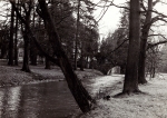 Zawartość – Content: Widok na rzekę Czerną i pałac od strony północno zachodniej,  fotografia, 1968 r.;  Własność intelektualna – Intelectual Property: K. Loose;  Prawa majątkowe: Lubuski Wojewódzki Konserwator Zabytków;  Dookreślenie – Instantiation: Loose K.: Pałac w Iłowej, Zielona Góra 1968 r., maszynopis w zbiorach Wojewódzkiego Urzędu Ochrony Zabytków w Zielonej Górze. 