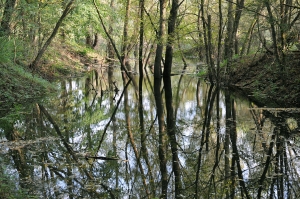 Fot. T. Gawałkiewicz, zdjęcie ze zbiorów Starostwa Zielonogórskiego