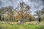 Park Mużakowski – Dąb Hermanna pośrodku kamiennego kręgu.