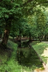 Kargowa - widok na kanał w parku.