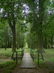 Bojadła – park pałacowy, widok głównej alei w kierunku płd. Fot. Łukasz Klimczyk.