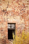 Elewacja zachodnia zamku – otwór okienny z powojenną stolarką. Widoczny łuk ostry otworu okiennego będący reliktem średniowiecznej kompozycji elewacji.